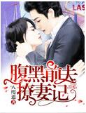 腹黑前夫撩妻记