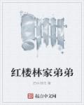 红楼林家弟弟